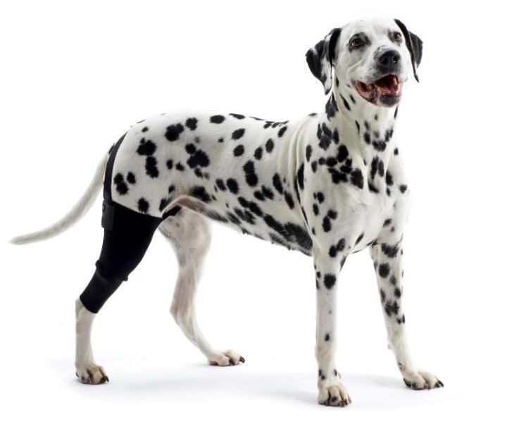 Kruuse Dog Knee Protector (Light Support) - ZOOMADOG