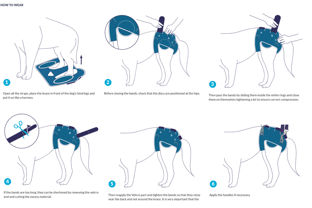 Balto® Life - Dog Hip Dysplasia Brace - ZOOMADOG