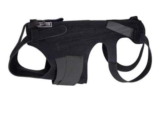 L'il Back Bracer - Dog Back Brace (light support) - ZOOMADOG
