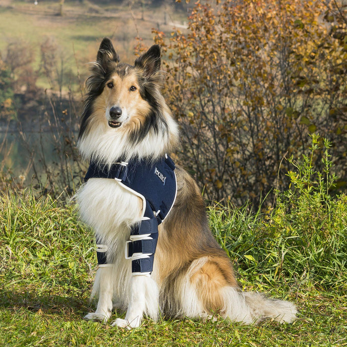 Balto® Lux - Dog Shoulder Brace - ZOOMADOG