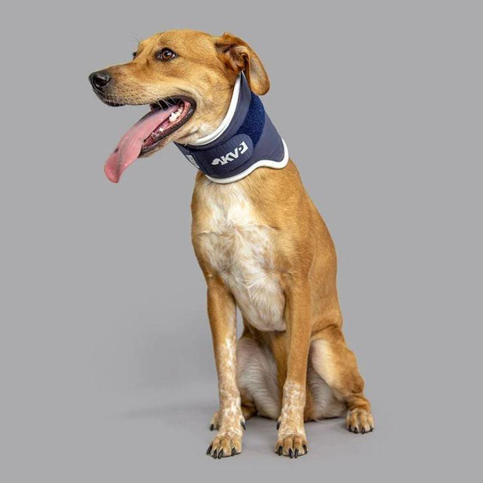 Balto® Neck - Rigid Dog Neck Brace - ZOOMADOG
