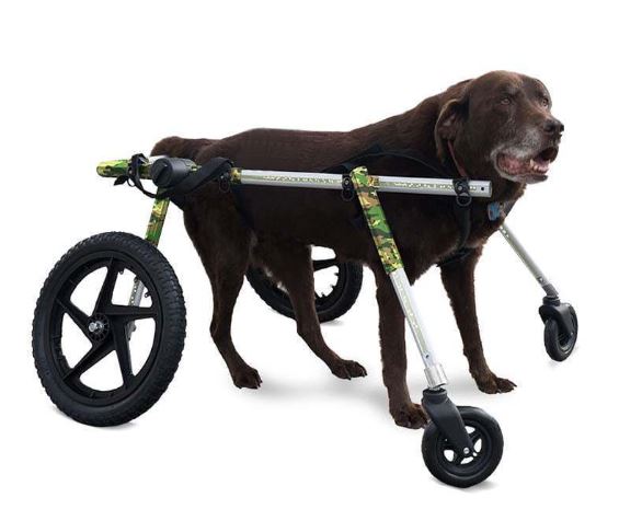 Quad Dog Wheelchair by Walkin Wheels (blue)
