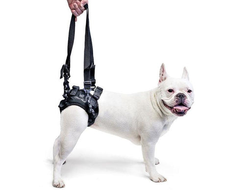 Walkin’ Rear Lift Dog Harness - ZOOMADOG
