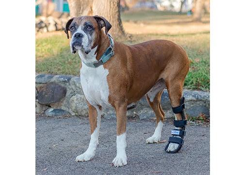 Walkin’ Full Dog Leg Splint - ZOOMADOG