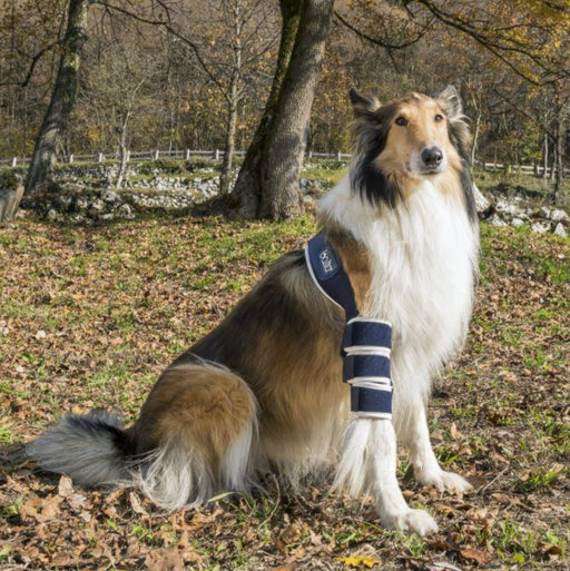 Balto® Soft - Dog Elbow Brace - ZOOMADOG