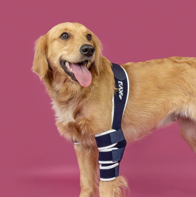 Balto® Soft - Dog Elbow Brace - ZOOMADOG