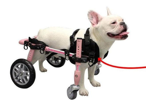 Quad Front Harness for Walkin’ Wheelchair - ZOOMADOG