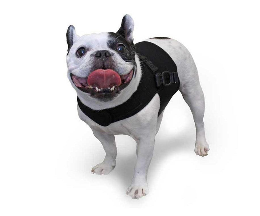 Walkin’ Front Vest for Small Dog Wheelchairs - ZOOMADOG