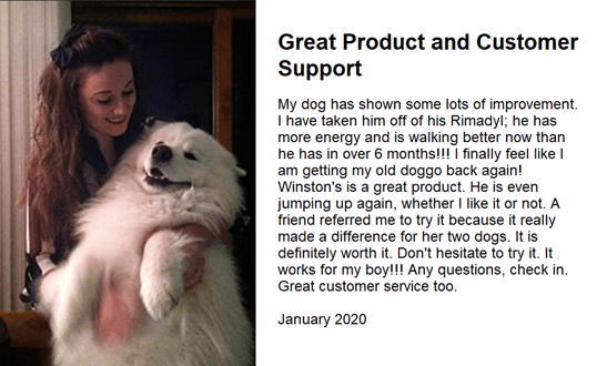 Winston's Pain Formula - 100% Natural Dog Supplement - ZOOMADOG