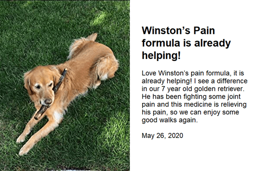 Winston's Pain Formula - 100% Natural Dog Supplement - ZOOMADOG