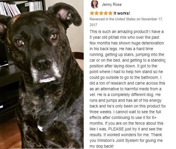 Winston's Pain Formula - 100% Natural Dog Supplement - ZOOMADOG