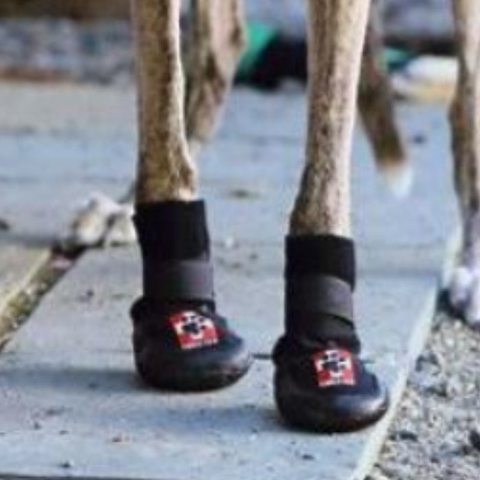 Protective Boots for Dogs