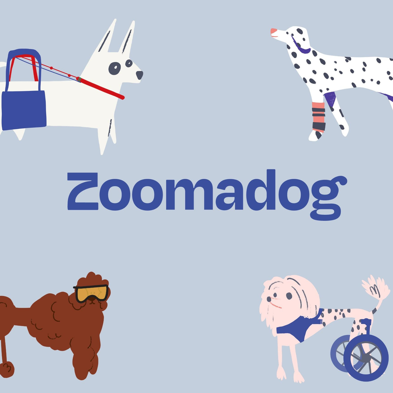 Zoomadog Flyers and Promotional Material