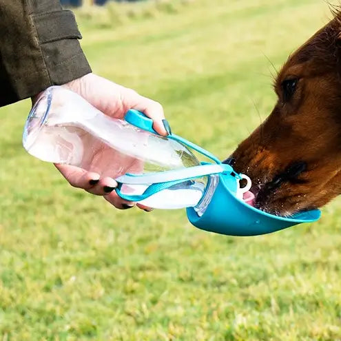 Henry Wag Dog Travel Water Bottle - Fold-Out Drinking Water Bowl For Hydration 500ml