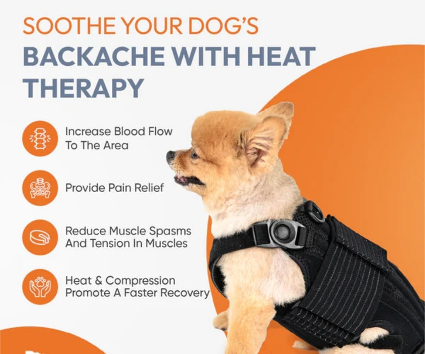 L'il Back Bracer Heated Back Brace for Dogs - Therapeutic Heat for Back Muscles & Joints