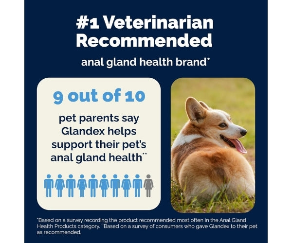 Glandex Anal Gland Support Chews for Dogs - Peanut Butter 30 Soft Chews