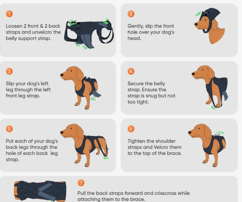 L'il Back Bracer Heated Back Brace for Dogs - Therapeutic Heat for Back Muscles & Joints