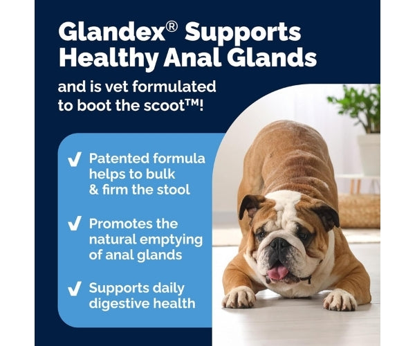 Glandex Anal Gland Support Chews for Dogs - Peanut Butter 30 Soft Chews