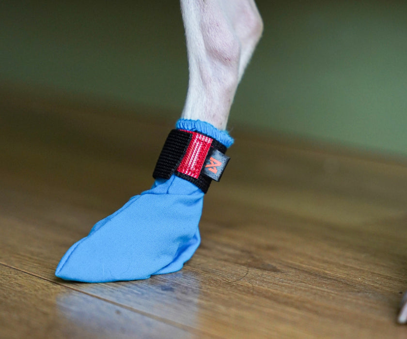 Non-Stop Dogwear Long Distance Dog Boots - Light Shoes with Good Grip to Protect Against Snow & Ice (four boots)