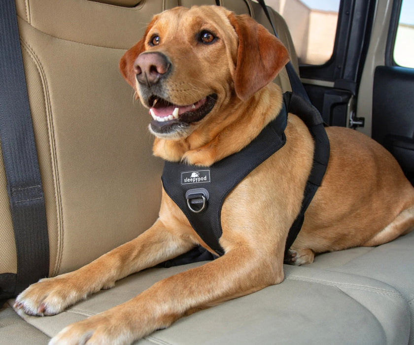 Sleepypod ClickIt Range Dog Car Safety Harness - Easy Lifting & Secure Travel for Your Dog