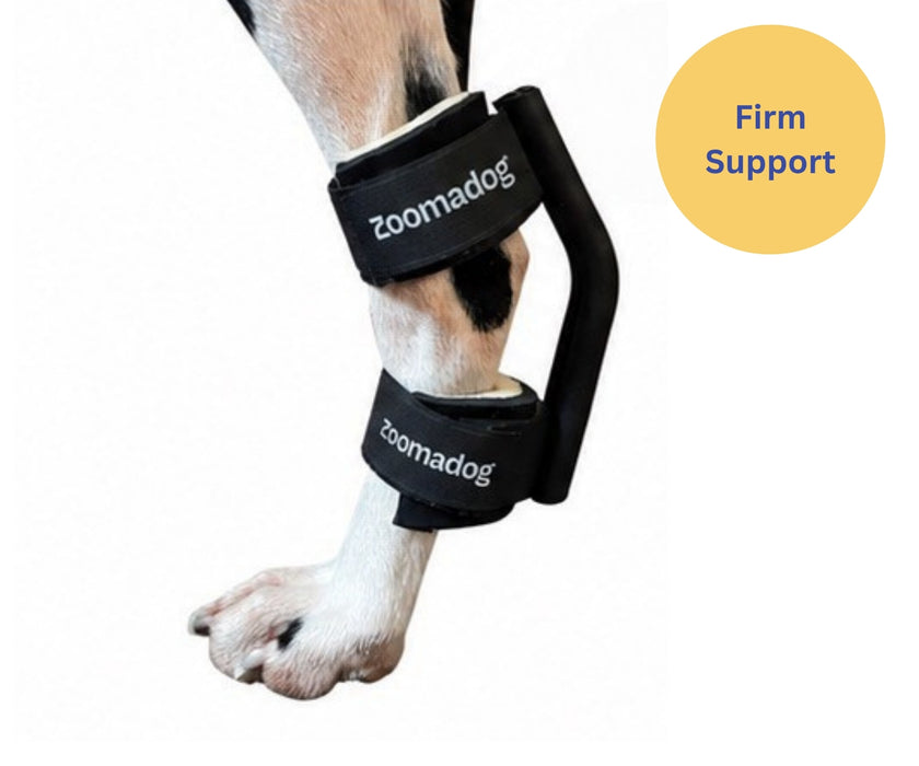 *NEW* Hock Dog Splint by Zoomadog - Ideal for Weak Hock Joints & Hock Injuries (firm)