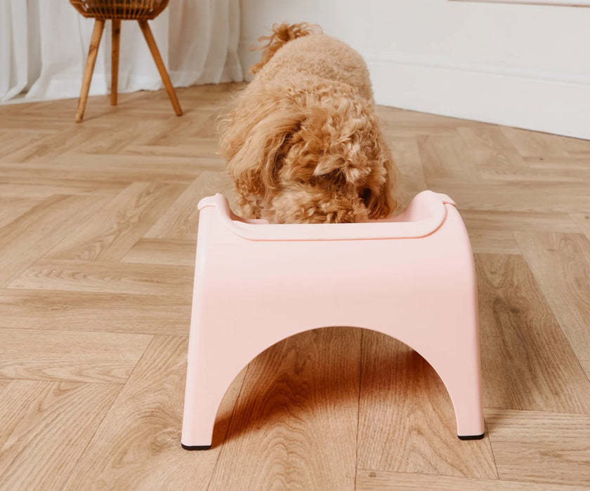 EasyEat Raised Feeder Set for Dogs - Encourages Better Posture, Comfortable Feeding and Supports Digestion