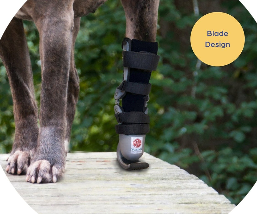 Dog Prosthetic Front or Back Paw / Leg - Blade or Classic Design