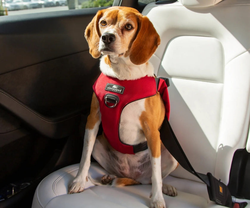 Sleepypod ClickIt Range Dog Car Safety Harness - Easy Lifting & Secure Travel for Your Dog