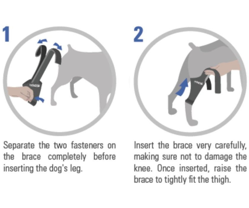 Tailwindpets Cruciate Hinged Dog Knee Brace + Harness