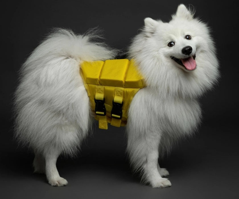 Noah & Paw Dog Life Jacket - Human Standards Life Jacket with Reinforced Rescue Handles for Comfortable & Supportive Swimming