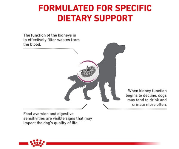 ROYAL CANIN Veterinary Health Nutrition Renal Dry Dog Food