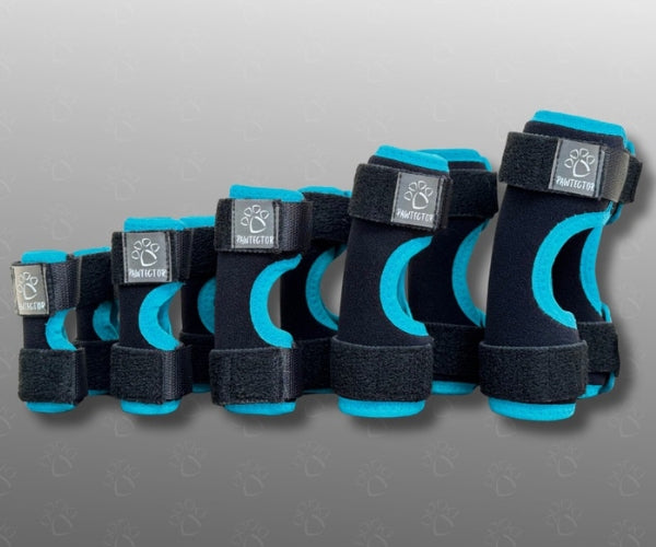 Pawtector Carpiflex Sports Wrap for Dogs - Provides Gentle Compression & Joint Stability