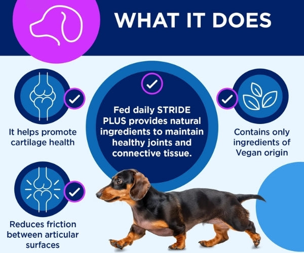 TRM Pet Stride Plus Liquid Supplement for Dogs - Maintains Healthy Cartilage & Joints 200ml or 500ml