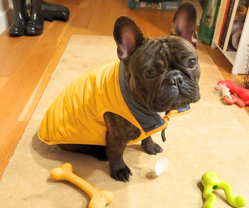 WagWear Dog Puffer Vest - Keep Your Dog Warm and Cosy, Easy to Zip On