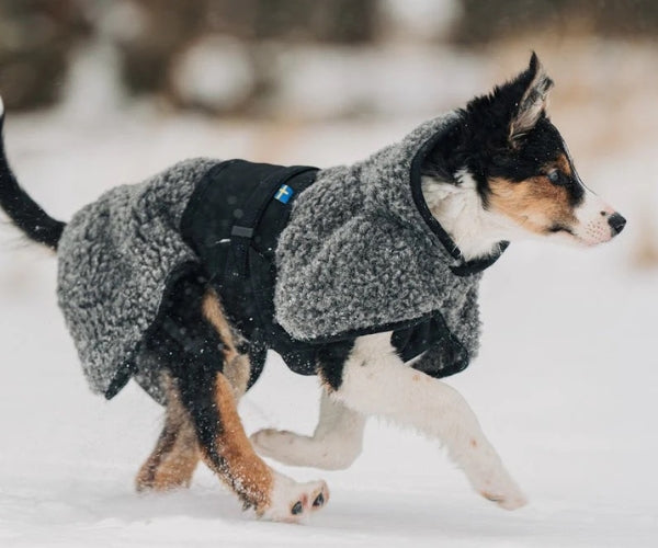 Hundlands Hybrido Wool Dog Jacket - Merino Wool Coat to Keep Your Dog's Joints & Muscles Warm