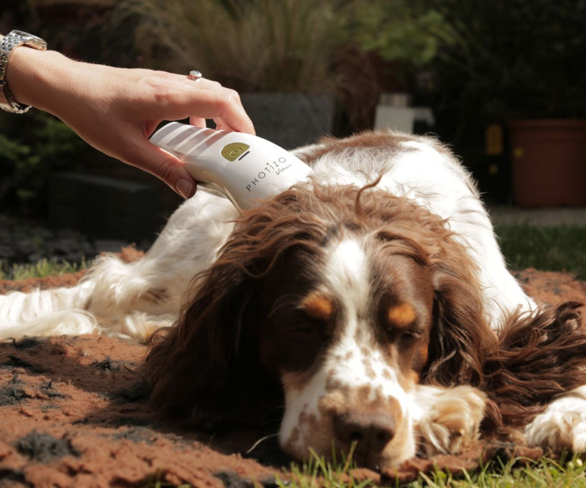 Photizo Vetcare - LED Light Therapy - Excellent for Arthritis, Stiffness and More. Accelerates Healing