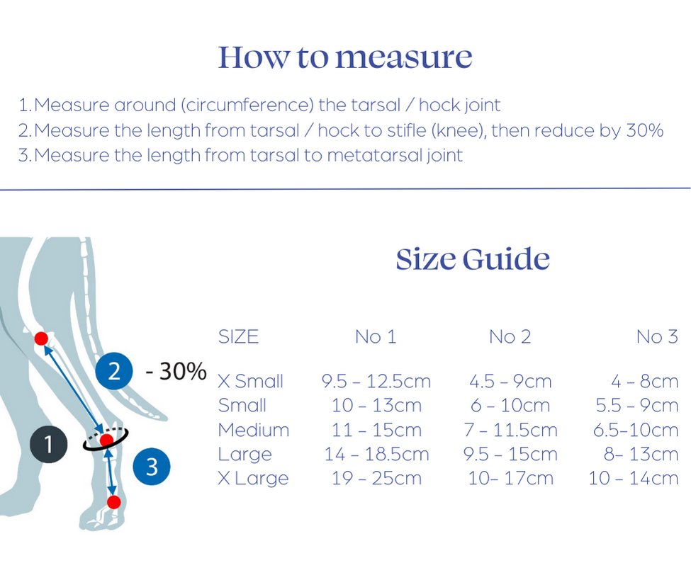 Measure Hock Grade 2