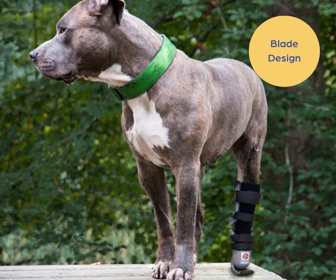 Dog Prosthetic Front or Back Paw / Leg - Blade or Classic Design — ZOOMADOG