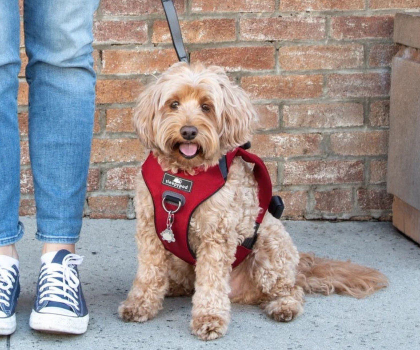 Sleepypod ClickIt Range Dog Car Safety Harness - Easy Lifting & Secure Travel for Your Dog