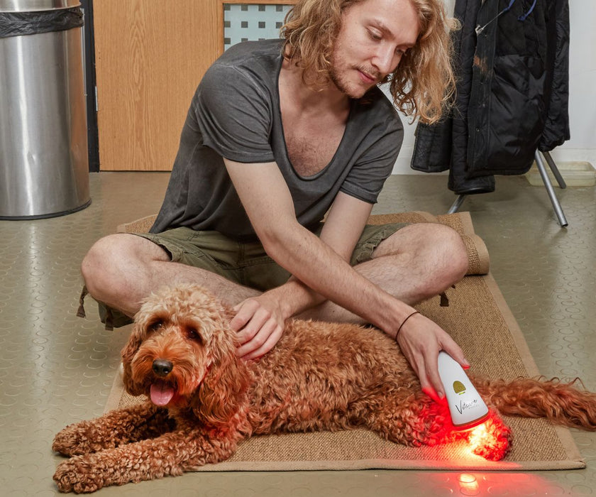 Photizo Vetcare - LED Light Therapy - Excellent for Arthritis, Stiffness and More. Accelerates Healing