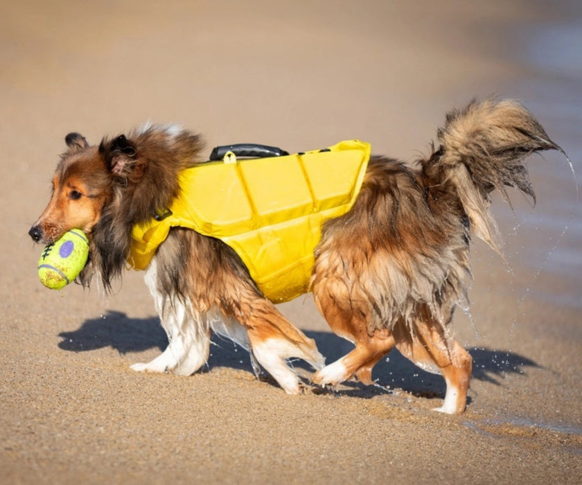 Noah & Paw Dog Life Jacket - Human Standards Life Jacket with Reinforced Rescue Handles for Comfortable & Supportive Swimming