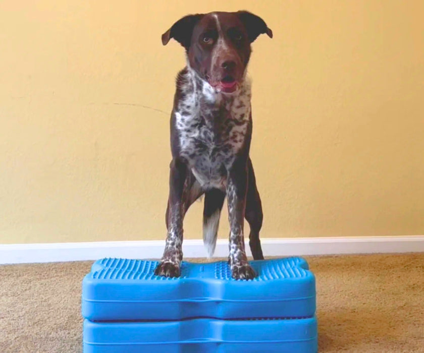 Blue-9 Dog Propel Air Platform - Inflatable Balance & Conditioning Platform for Strength, Stability & Rehabilitation Training