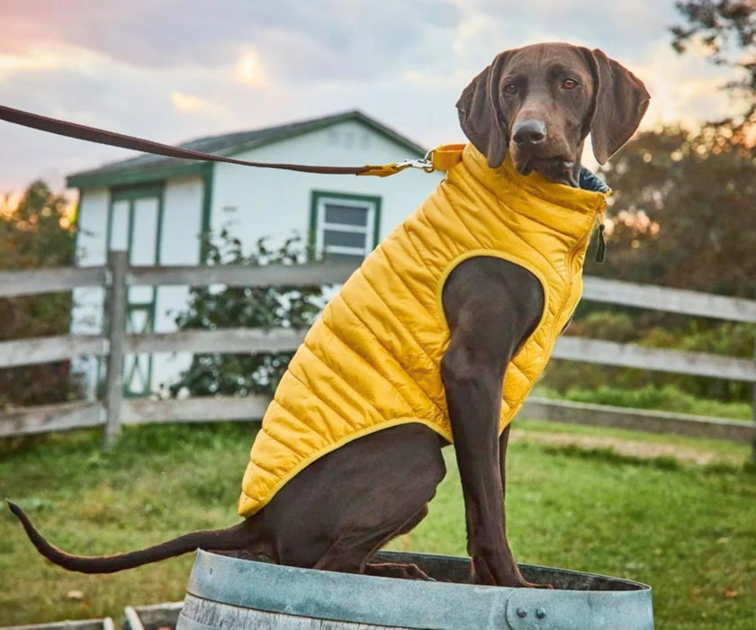 WagWear Dog Puffer Vest - Keep Your Dog Warm and Cosy, Easy to Zip On
