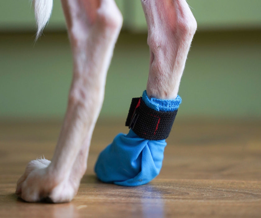 Non-Stop Dogwear Long Distance Dog Boots - Light Shoes with Good Grip to Protect Against Snow & Ice (four boots)