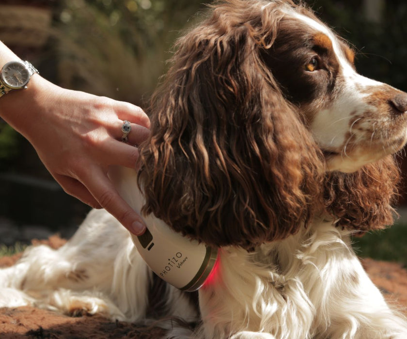 Photizo Vetcare - LED Light Therapy - Excellent for Arthritis, Stiffness and More. Accelerates Healing