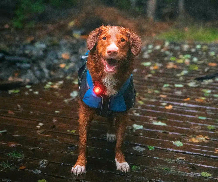 Orbiloc Dog Dual Safety Dog Light - Waterproof LED Light Visible Up to 5km for Collars, Harnesses and Leads