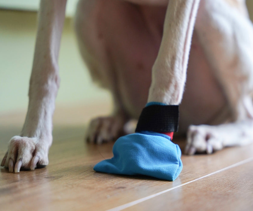 Non-Stop Dogwear Long Distance Dog Boots - Light Shoes with Good Grip to Protect Against Snow & Ice (four boots)