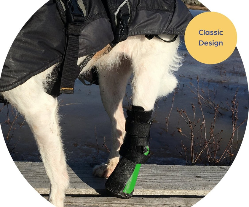 Dog Prosthetic Front or Back Paw / Leg - Blade or Classic Design — ZOOMADOG