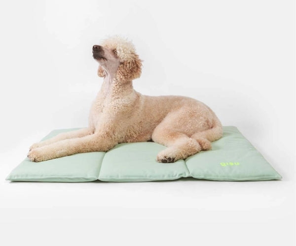 Flat Padded Nomad Dog Bed (by Qisu) - Perfect For Travelling, Home, the Park, Visiting Friends