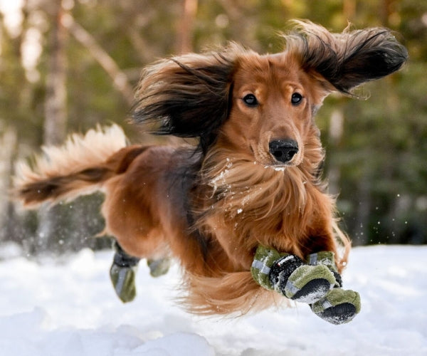 Reflective Tall Dog Boots - Fleece Reflective Boots, Keeps Your Dog Warm & Safe (four boots)